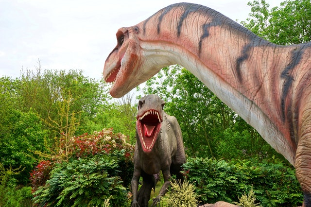 dinos fighting